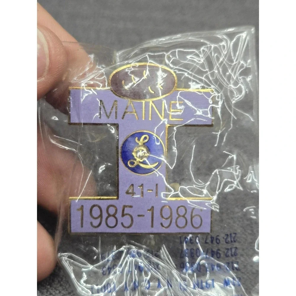 Vintage Maine Lions District 41-1 1985-1986 Enamel Lapel Pin Lioness‎ Club